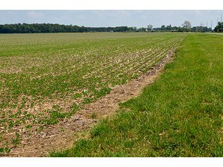 Property photo 78 - LAND AUCTION - 700+/- ACRES OFFERED IN 16 TRACTS IN ALLEN COUNTY, INDIANA